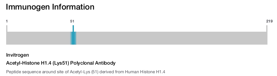 Acetyl-Histone H1.4 (Lys51) Polyclonal Antibody