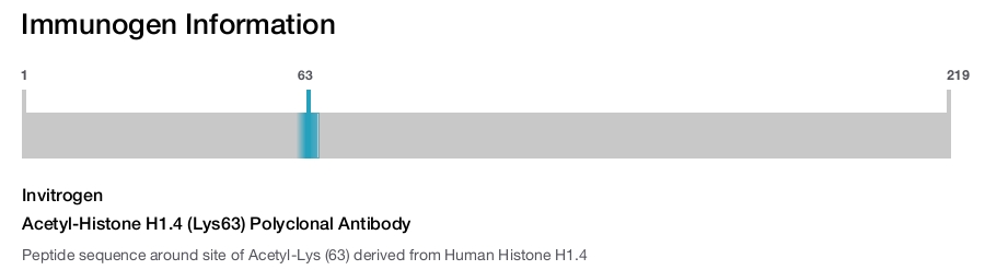 Acetyl-Histone H1.4 (Lys63) Polyclonal Antibody