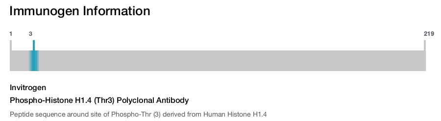 Phospho-Histone H1.4 (Thr3) Polyclonal Antibody