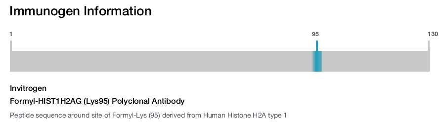 Formyl-HIST1H2AG (Lys95) Polyclonal Antibody