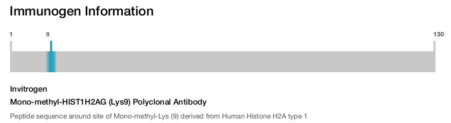 Mono-methyl-HIST1H2AG (Lys9) Polyclonal Antibody