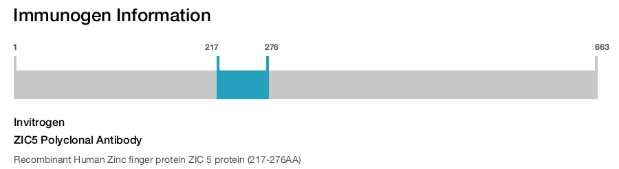 ZIC5 Polyclonal Antibody
