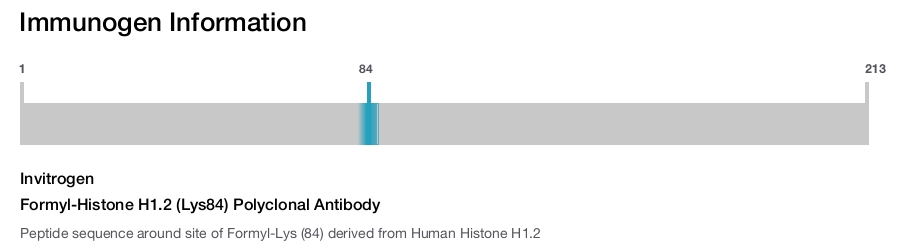 Formyl-Histone H1.2 (Lys84) Polyclonal Antibody