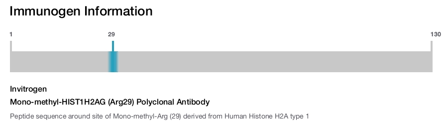 Mono-methyl-HIST1H2AG (Arg29) Polyclonal Antibody