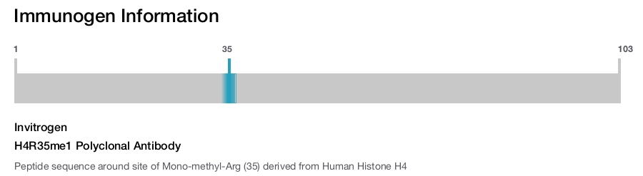 H4R35me1 Polyclonal Antibody