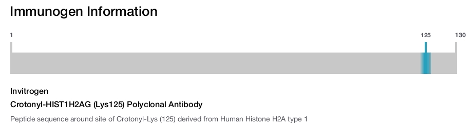 Crotonyl-HIST1H2AG (Lys125) Polyclonal Antibody