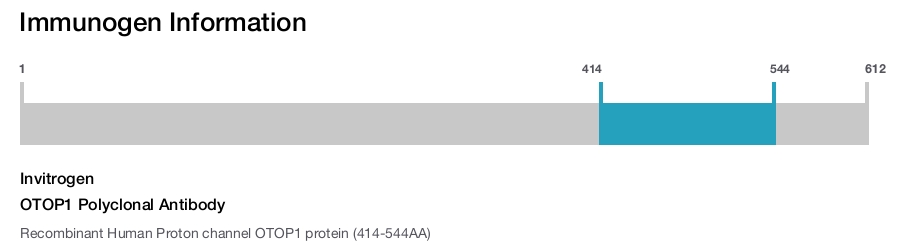 OTOP1 Polyclonal Antibody