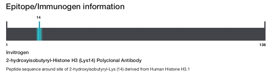 2-hydroxyisobutyryl-Histone H3 (Lys14) Polyclonal Antibody