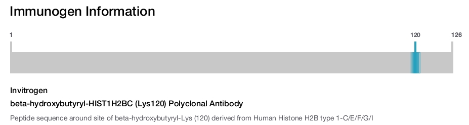 beta-hydroxybutyryl-HIST1H2BC (Lys120) Polyclonal Antibody