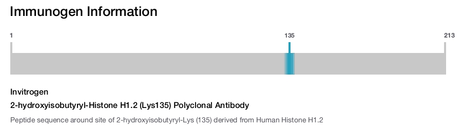 2-hydroxyisobutyryl-Histone H1.2 (Lys135) Polyclonal Antibody