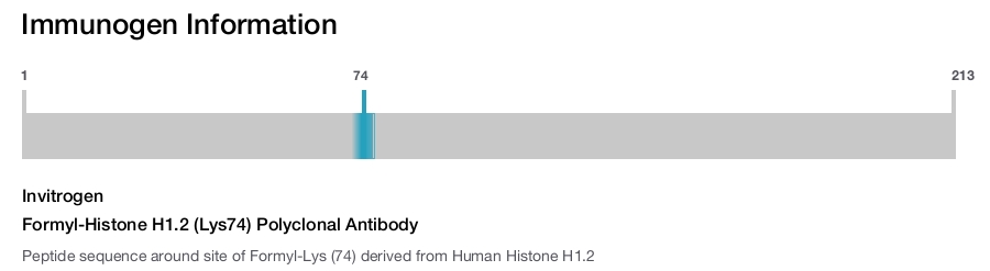 Formyl-Histone H1.2 (Lys74) Polyclonal Antibody