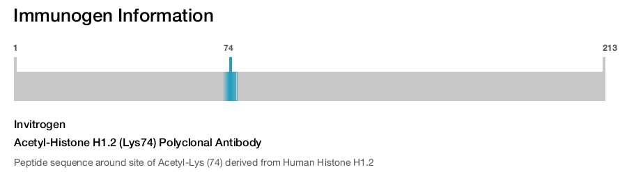 Acetyl-Histone H1.2 (Lys74) Polyclonal Antibody