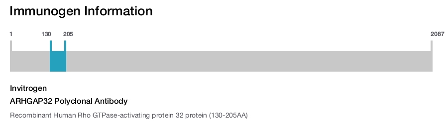 ARHGAP32 Polyclonal Antibody
