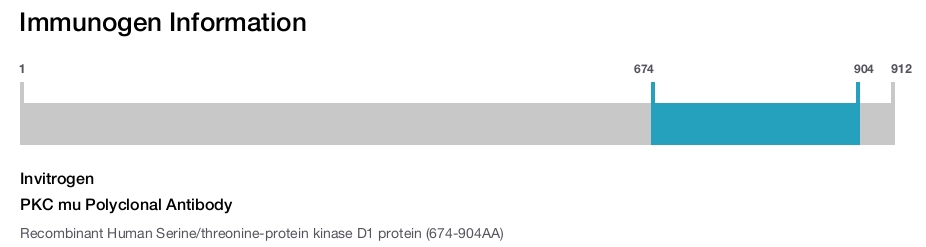 PKC mu Polyclonal Antibody