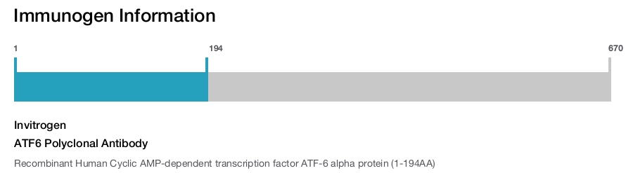 ATF6 Polyclonal Antibody