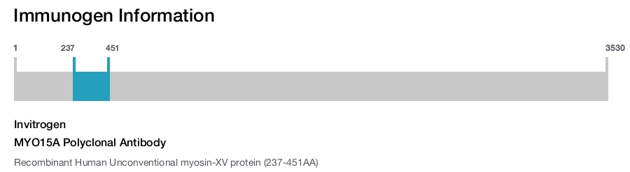 MYO15A Polyclonal Antibody