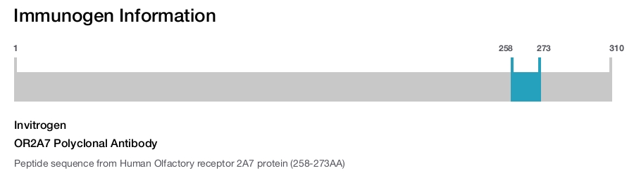 OR2A7 Polyclonal Antibody