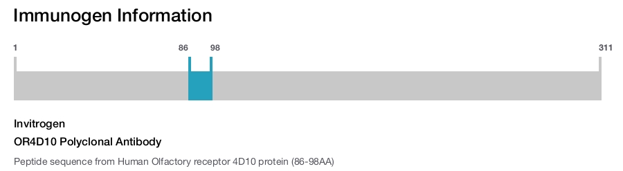 OR4D10 Polyclonal Antibody