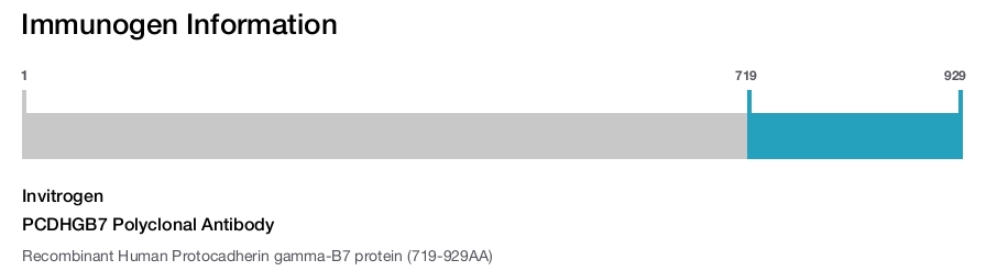 PCDHGB7 Polyclonal Antibody