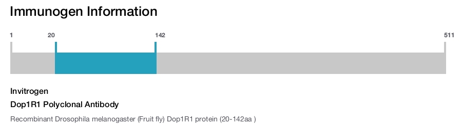 Dop1R1 Polyclonal Antibody