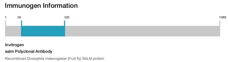 salm Polyclonal Antibody