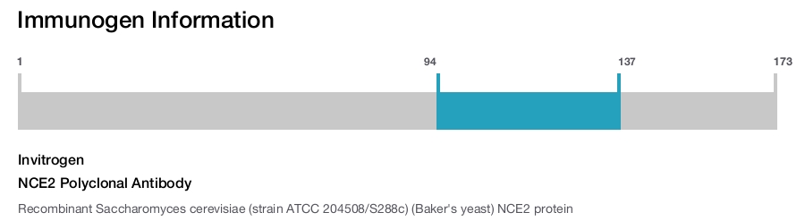 NCE2 Polyclonal Antibody