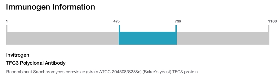 TFC3 Polyclonal Antibody