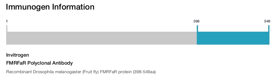 FMRFaR Polyclonal Antibody