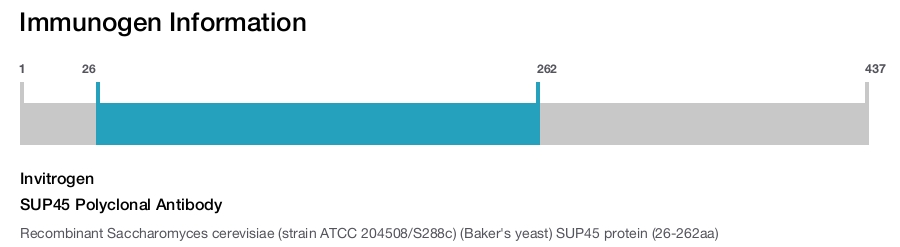 SUP45 Polyclonal Antibody