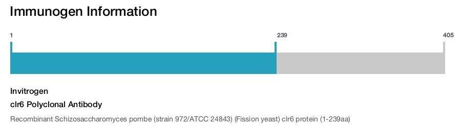 clr6 Polyclonal Antibody