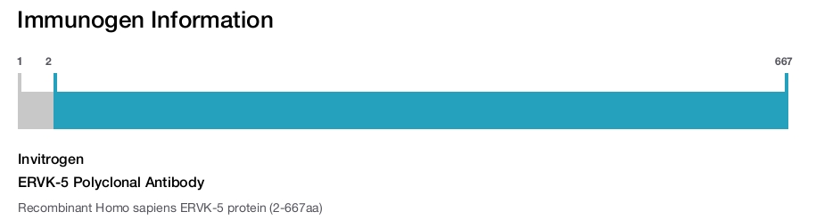 ERVK-5 Polyclonal Antibody