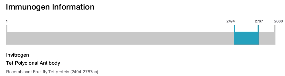 Tet Polyclonal Antibody