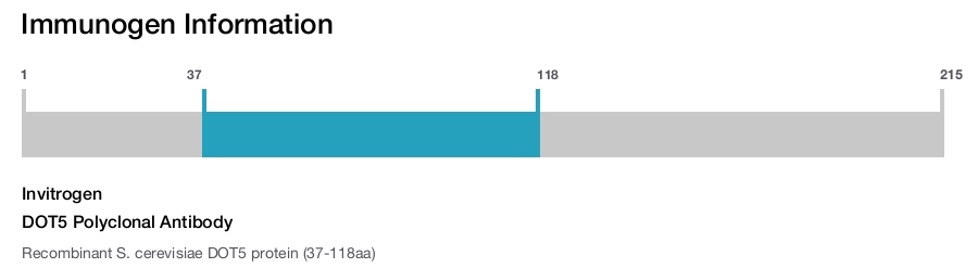 DOT5 Polyclonal Antibody