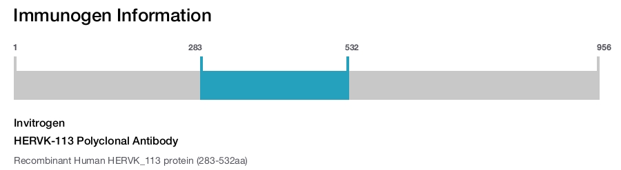 HERVK-113 Polyclonal Antibody
