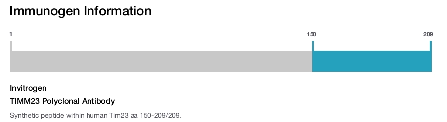 TIMM23 Polyclonal Antibody