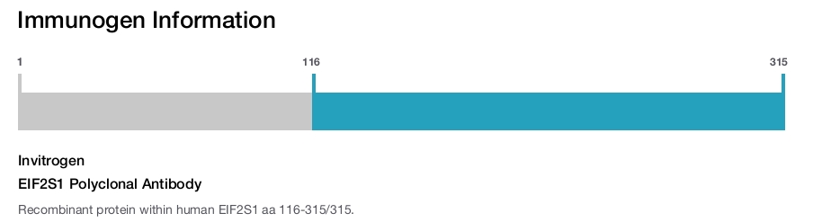 EIF2S1 Polyclonal Antibody