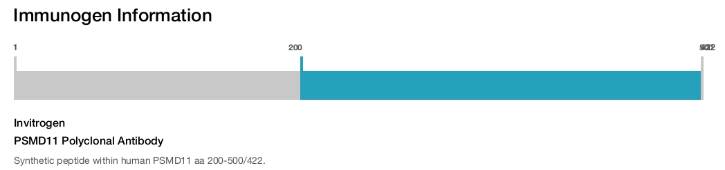 PSMD11 Polyclonal Antibody