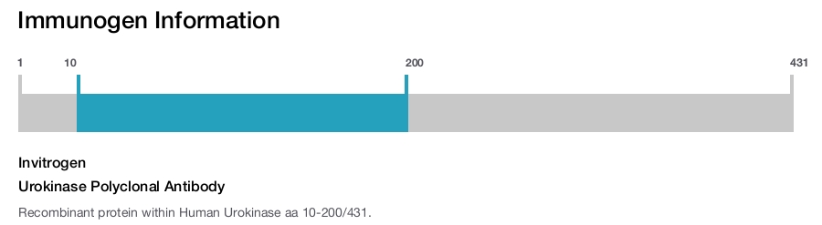 Urokinase Polyclonal Antibody