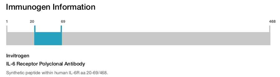 IL-6 Receptor Polyclonal Antibody