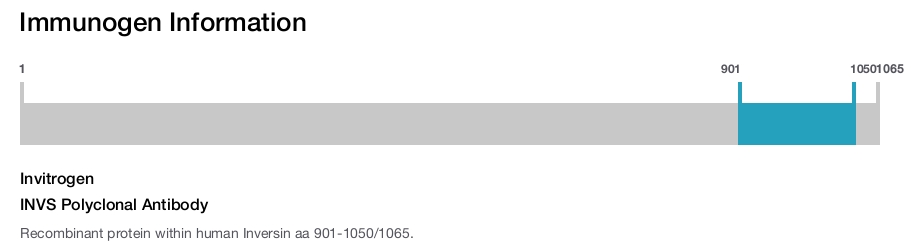 INVS Polyclonal Antibody