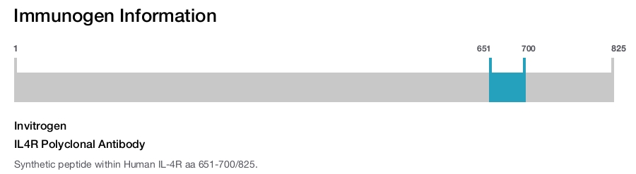IL4R Polyclonal Antibody