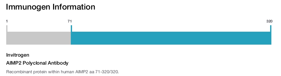 AIMP2 Polyclonal Antibody