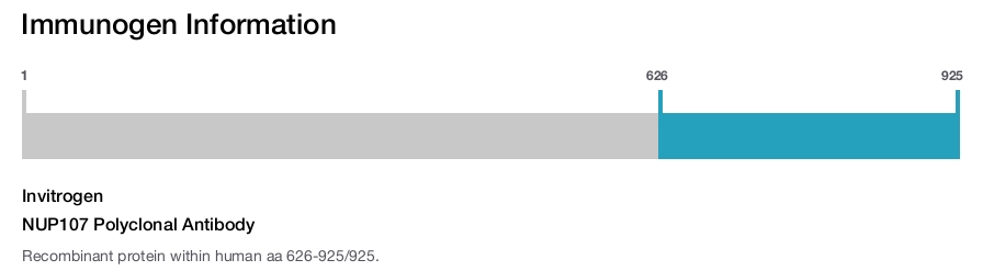 NUP107 Polyclonal Antibody