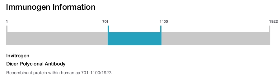 Dicer Polyclonal Antibody