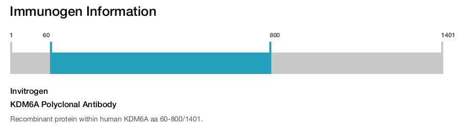 KDM6A Polyclonal Antibody