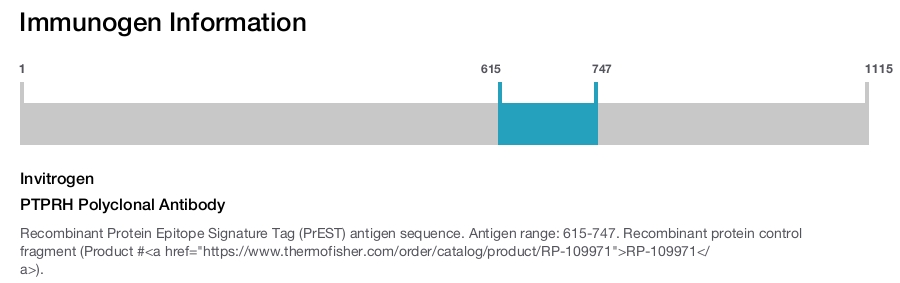 PTPRH Polyclonal Antibody