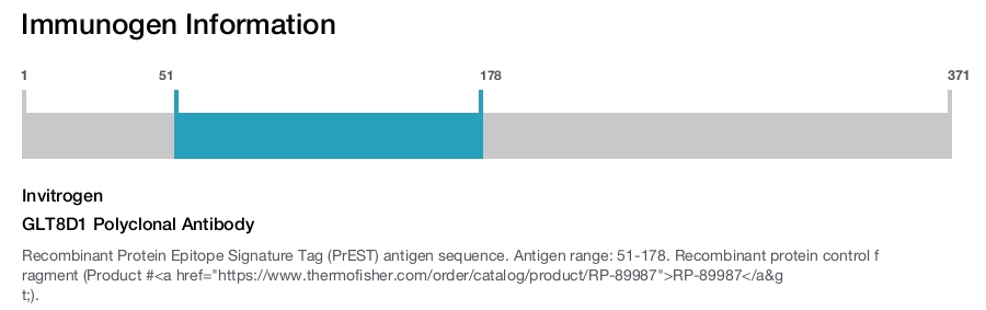 GLT8D1 Polyclonal Antibody