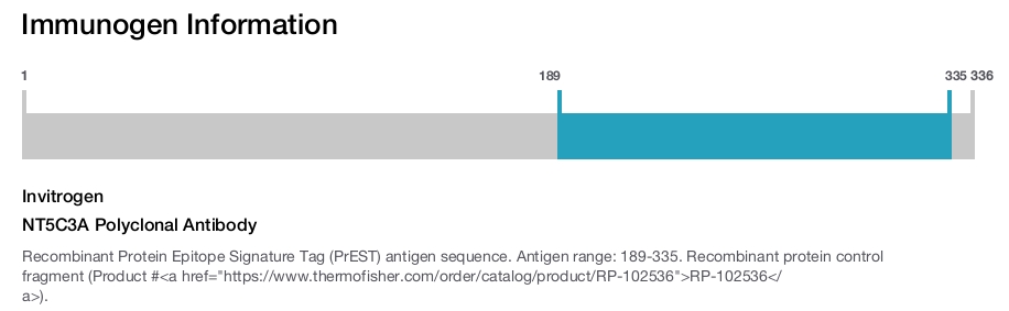 NT5C3A Polyclonal Antibody