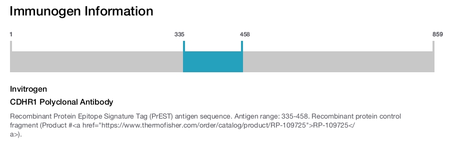 CDHR1 Polyclonal Antibody