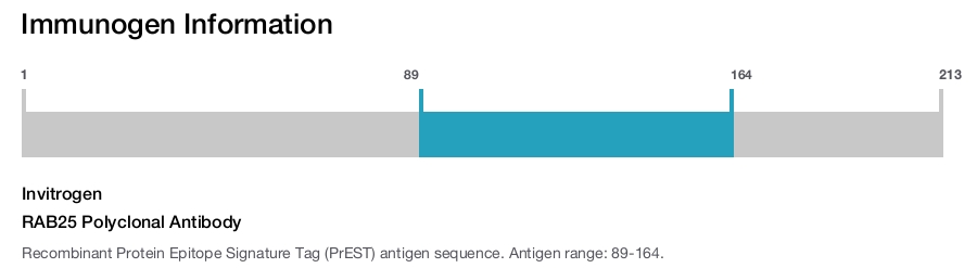 RAB25 Polyclonal Antibody